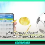 Cách cá cược bóng đá - mẹo thắng lớn từ chuyên gia cá cược