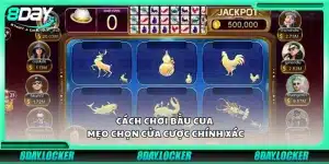 Cách chơi bầu cua – Mẹo chọn cửa cược chính xác