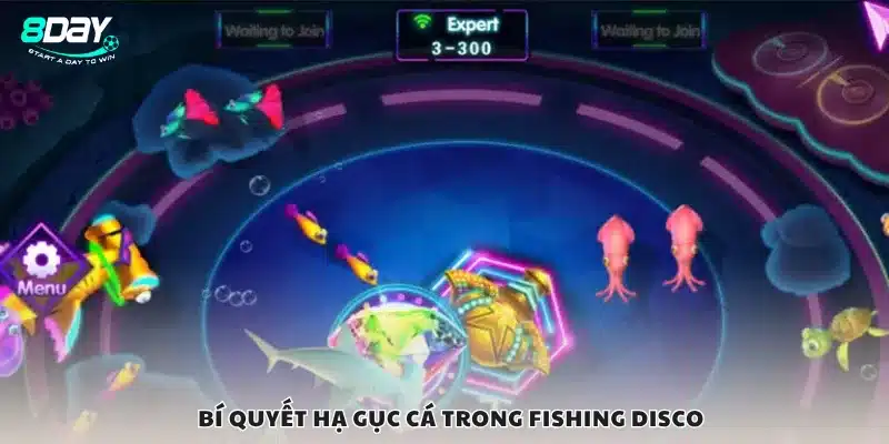 Bí quyết hạ gục cá trong Fishing Disco