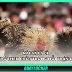 Nài gà là gì – Vai trò then chốt trong mỗi trận đá gà