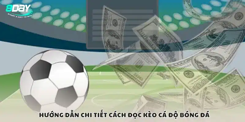 Hướng dẫn chi tiết cách đọc kèo cá độ bóng đá