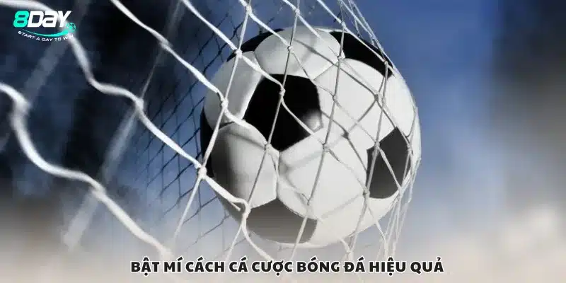 Bật mí cách cá cược bóng đá hiệu quả