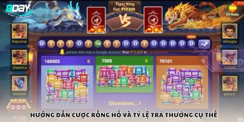 Cách đặt cược và nhận thưởng khi chơi Rồng Hổ
