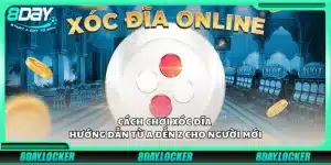 Cách chơi xóc đĩa - Hướng dẫn từ A đến Z cho người mới