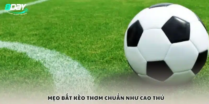 Cách dân chuyên thường săn kèo thơm bóng đá