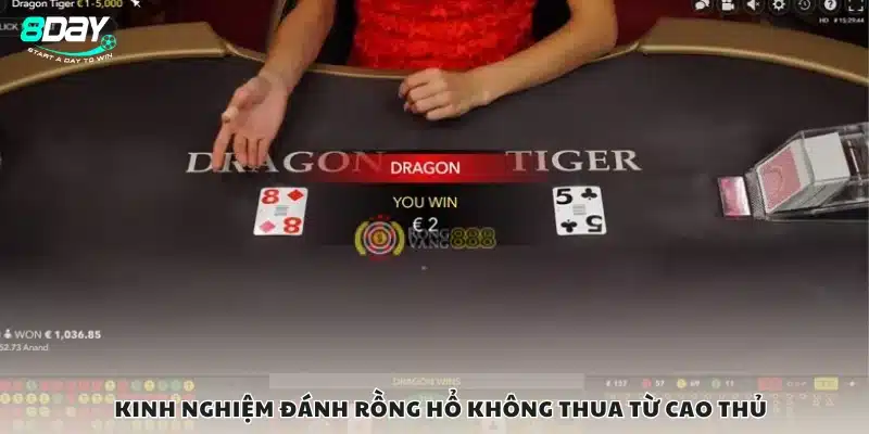 Kinh nghiệm đánh rồng hổ không thua từ dân chuyên