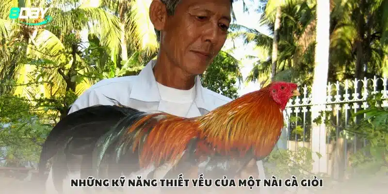 Những kỹ năng thiết yếu của một nài gà giỏi