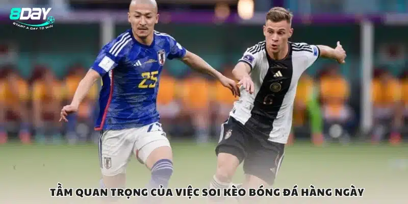 Lý do bạn nên soi kèo bóng đá mỗi ngày