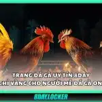 Giới thiệu trang đá gà uy tín 8Day – Nền tảng cá cược hàng đầu
