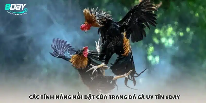 Tính năng nổi bật của trang đá gà uy tín 8Day