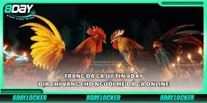Giới thiệu trang đá gà uy tín 8Day – Nền tảng cá cược hàng đầu