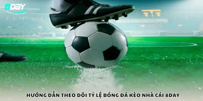Hướng dẫn theo dõi tỷ lệ bóng đá kèo nhà cái 8Day
