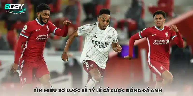 Tìm hiểu sơ lược về tỷ lệ cá cược bóng đá Anh