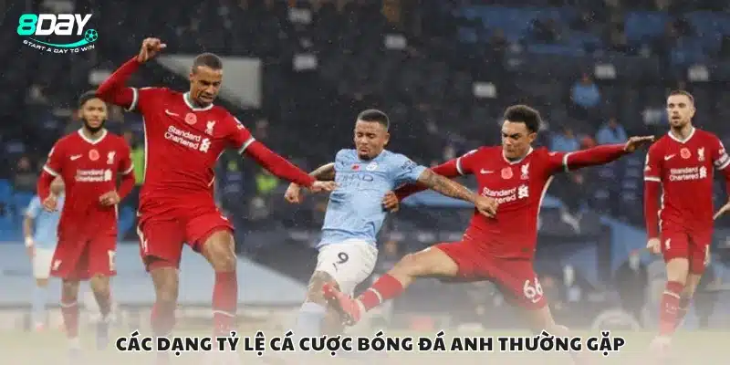 Các dạng tỷ lệ cá cược bóng đá Anh thường gặp